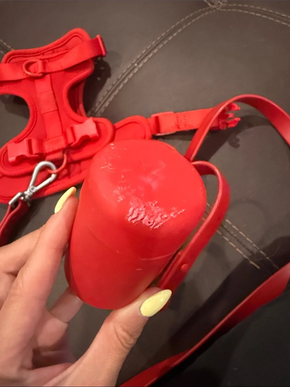Wild One Red Small Dog Harness, X Long Leash, and Poop bag holder